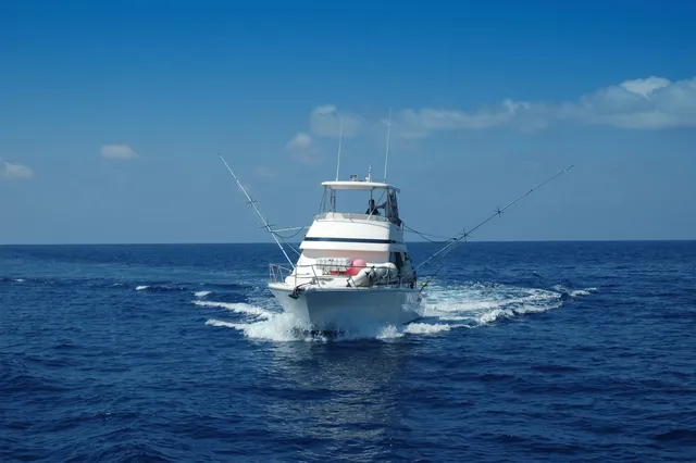 Charter Boat Directory listings — Ocean City, Maryland