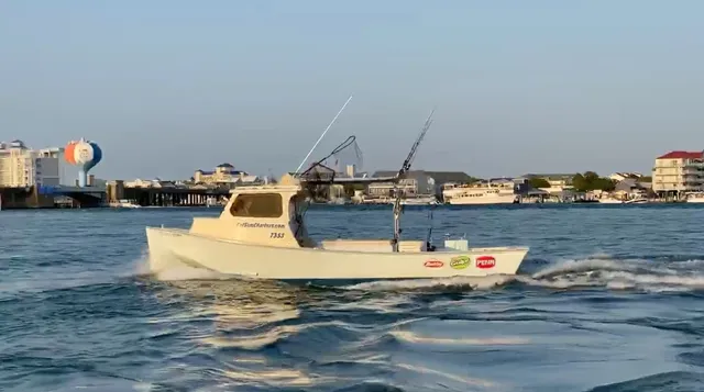 Bay charters — Ocean City, Maryland
