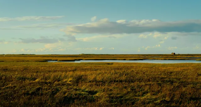 Environmental — Ocean City, Maryland