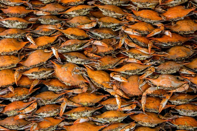 Ocean City Crab Houses