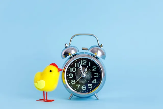 Ocean City Early Bird Specials