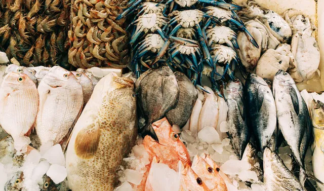 Ocean City Fish Markets & Buying