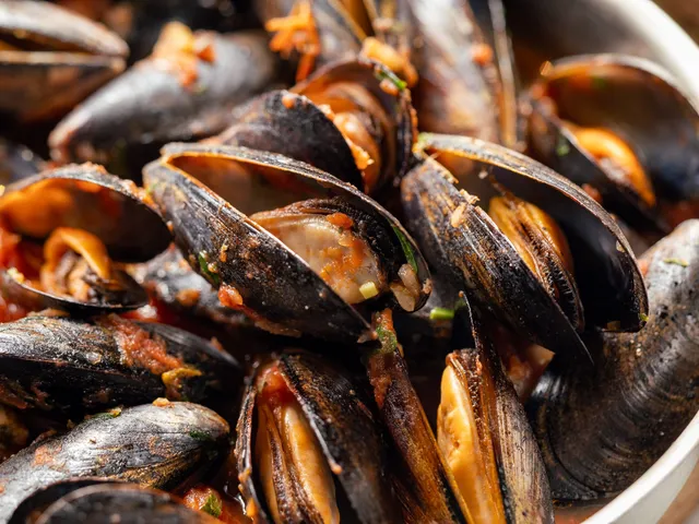 Ocean City Mussels