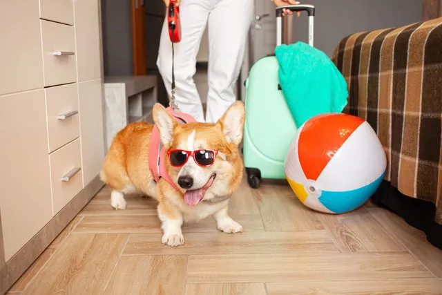 Ocean City Pet-Friendly Hotels