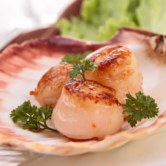 Ocean City Scallops