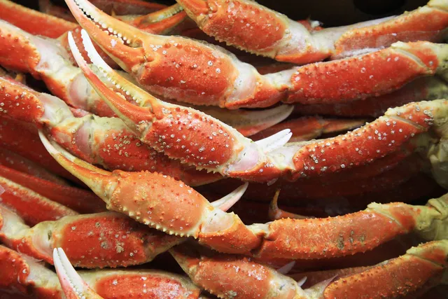 Ocean City Snow Crab