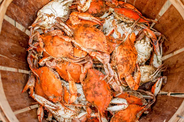 Ocean City Steamed Crabs