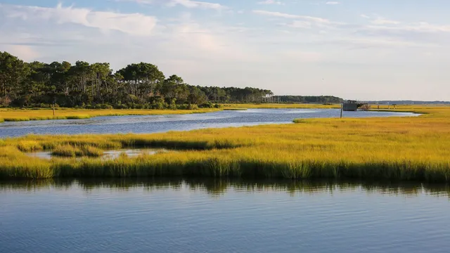 Ocean City Fly Fishing