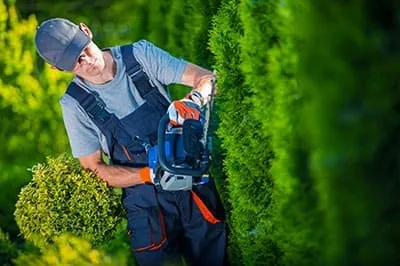 Royal Lawn Care — Ocean City, Maryland