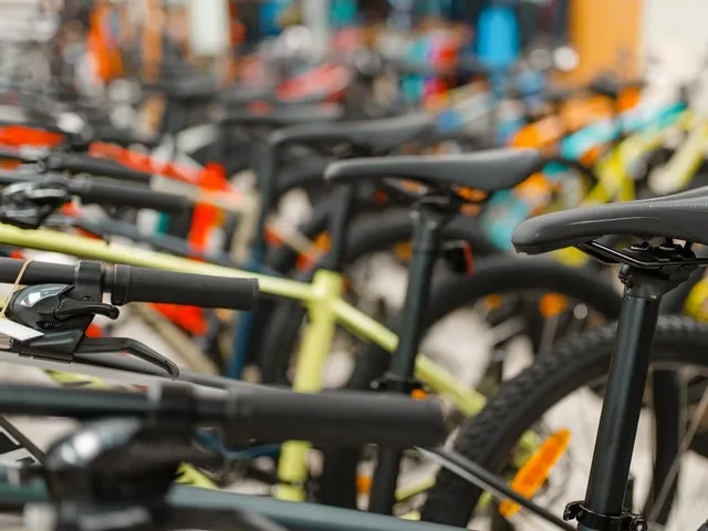 Dandy Don's Bike Rentals — Ocean City (Boardwalk · 12th Street)