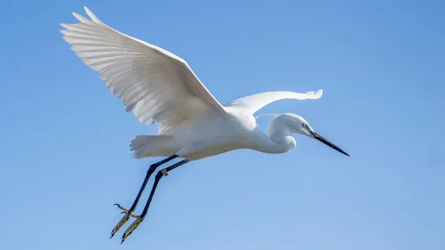 Nature & education — Ocean City, Maryland