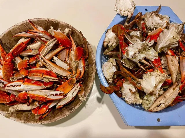 Eating Crabs — Ocean City, Maryland