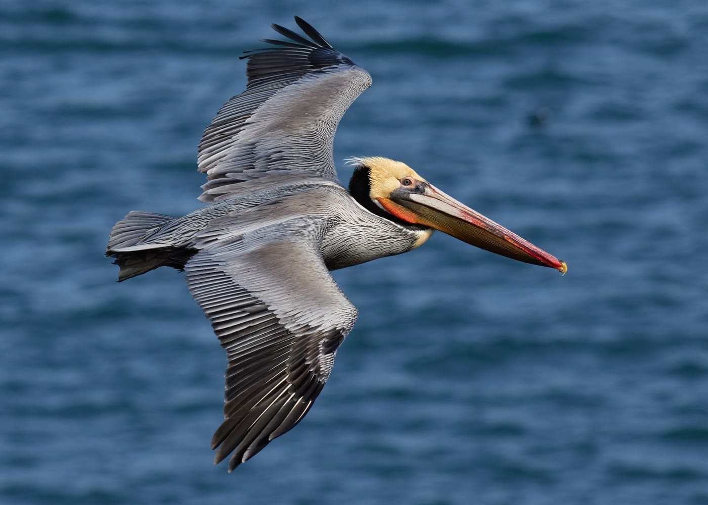 Photo gallery photo 3 — Ocean City, Maryland