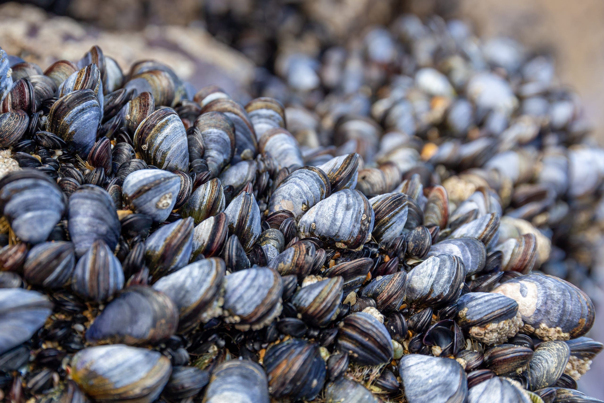 Photo gallery photo 4 — Ocean City, Maryland