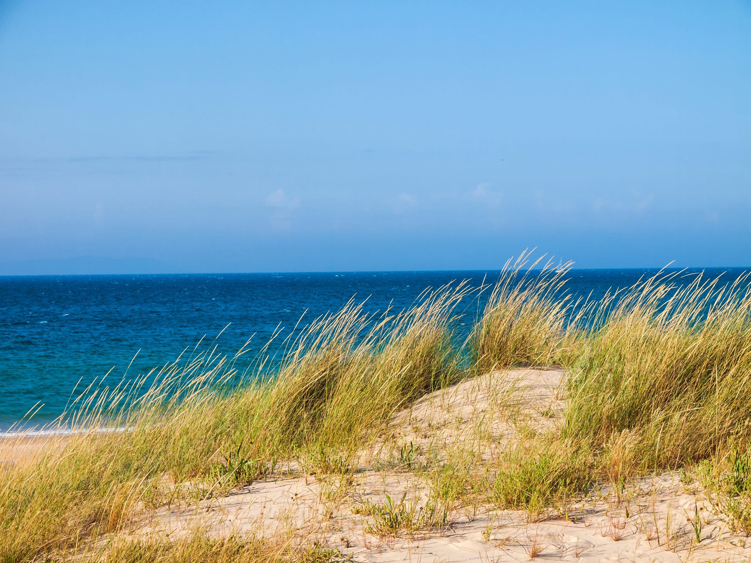 Photo gallery photo 1 — Ocean City, Maryland
