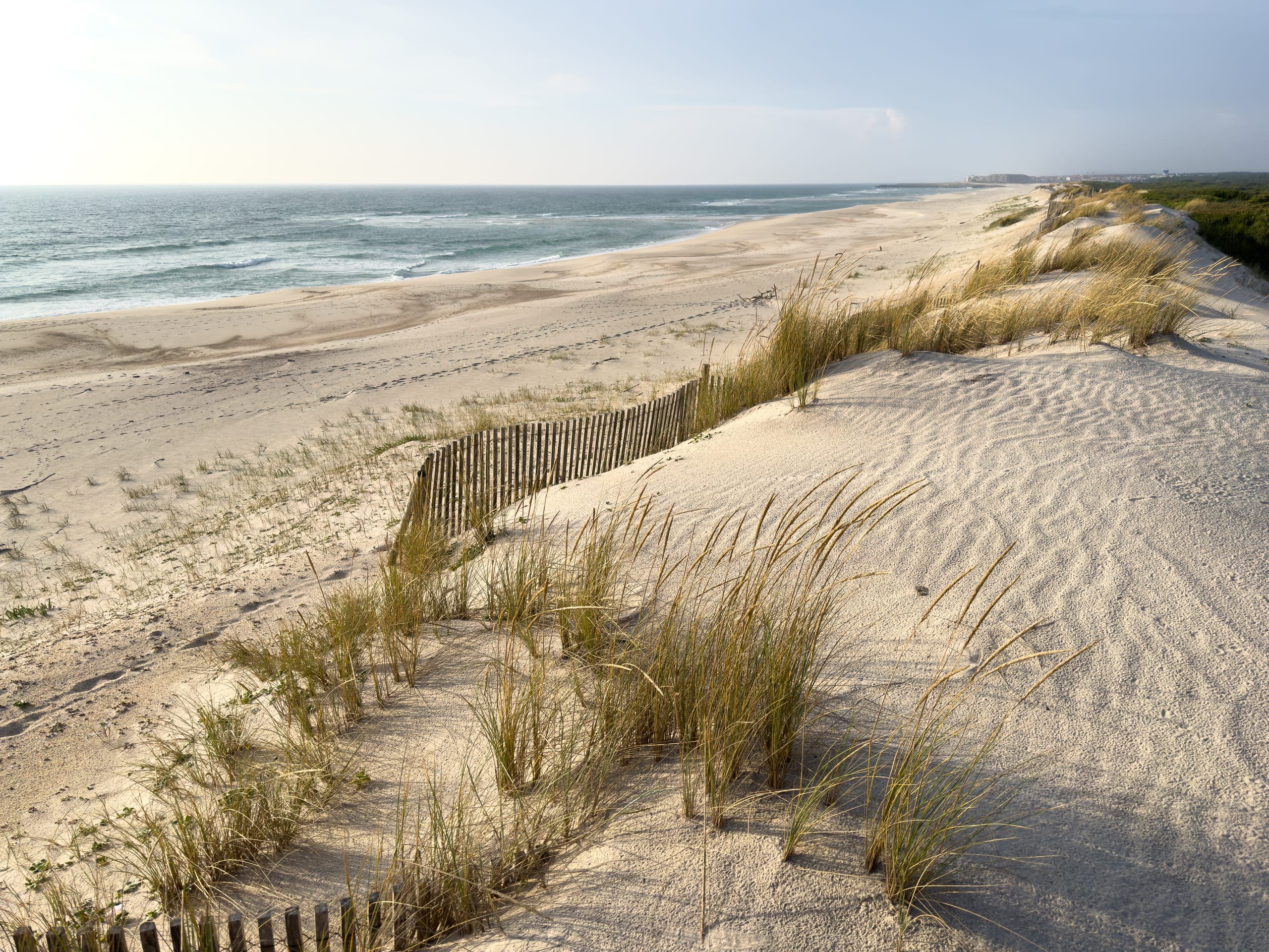 Photo gallery photo 5 — Ocean City, Maryland