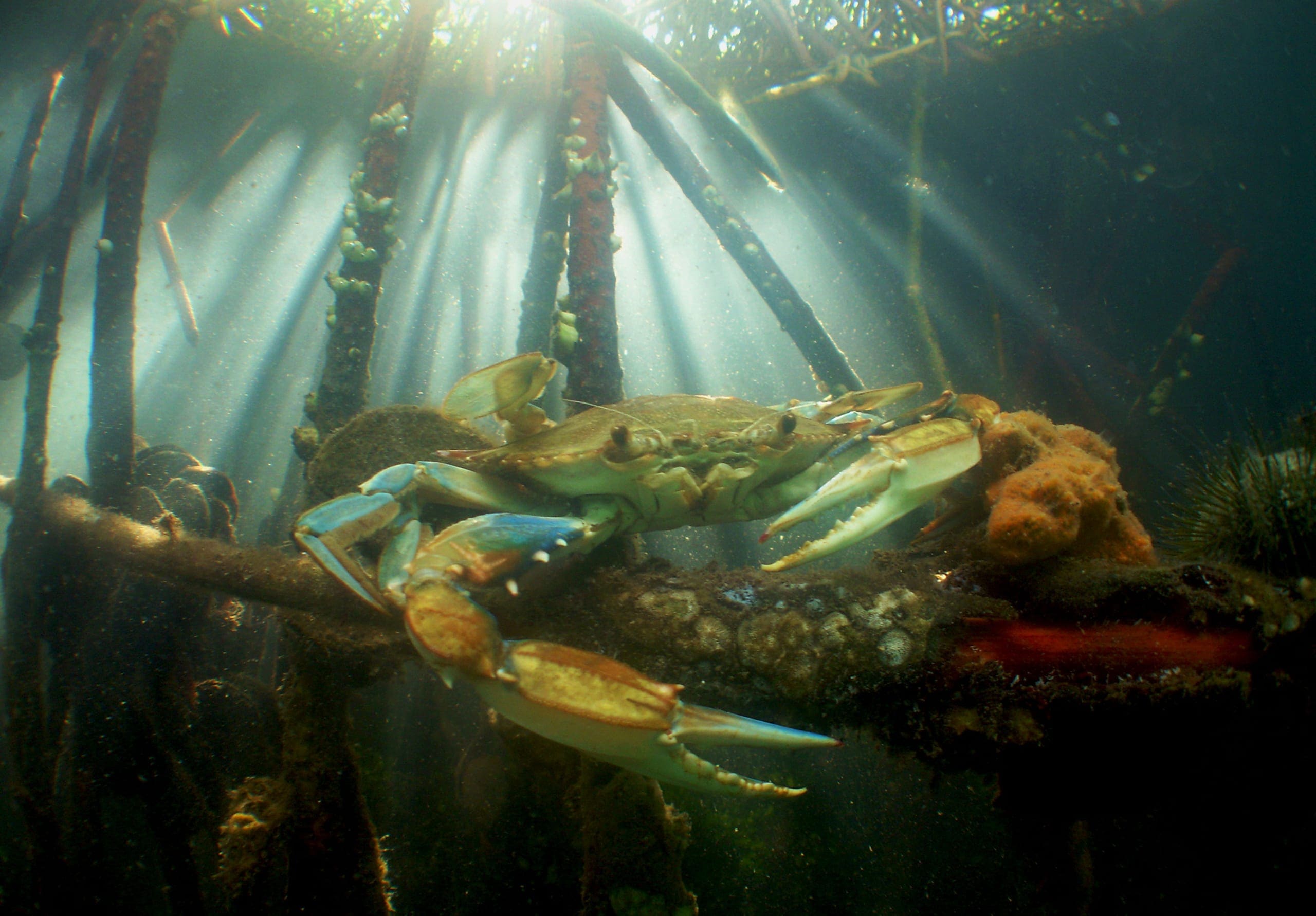 Photo gallery photo 8 — Ocean City, Maryland