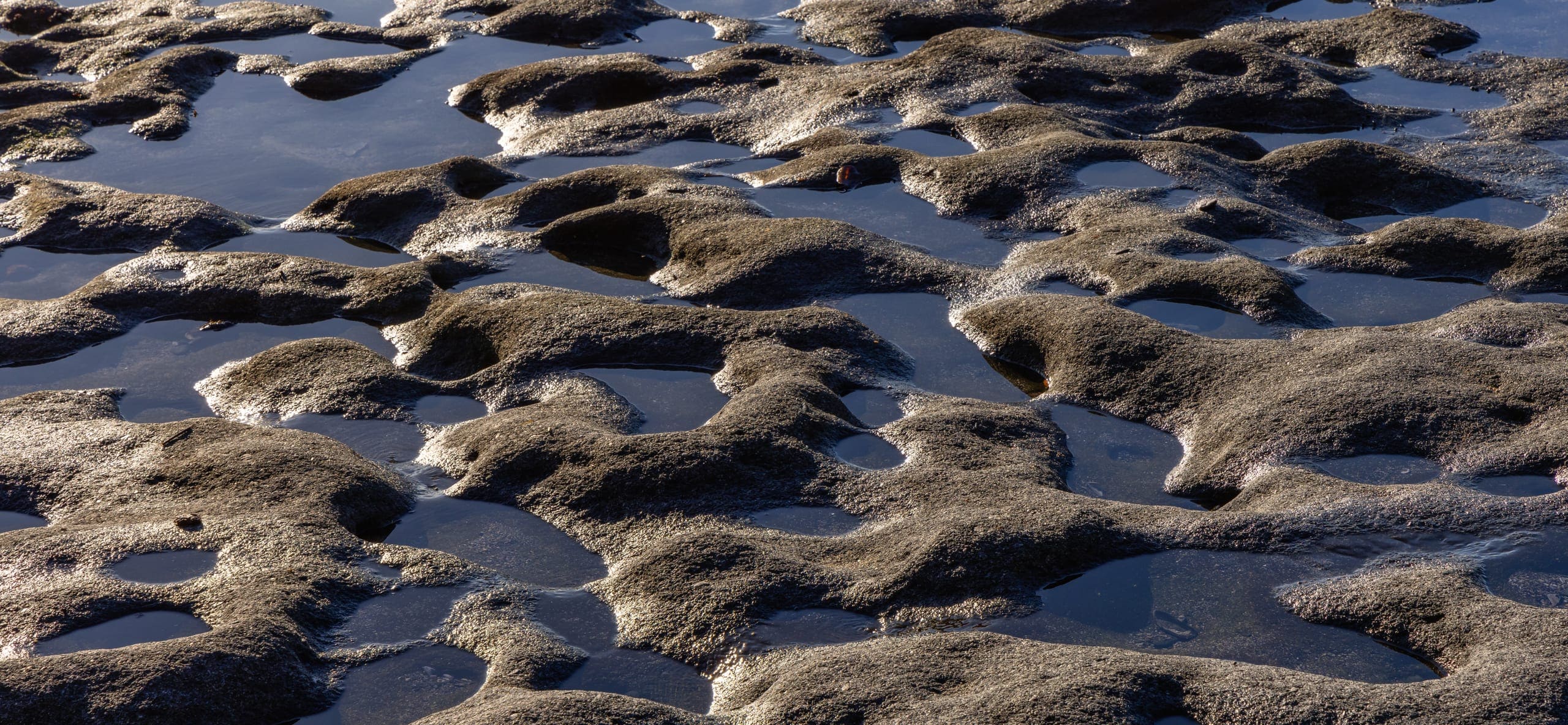 Photo gallery photo 6 — Ocean City, Maryland