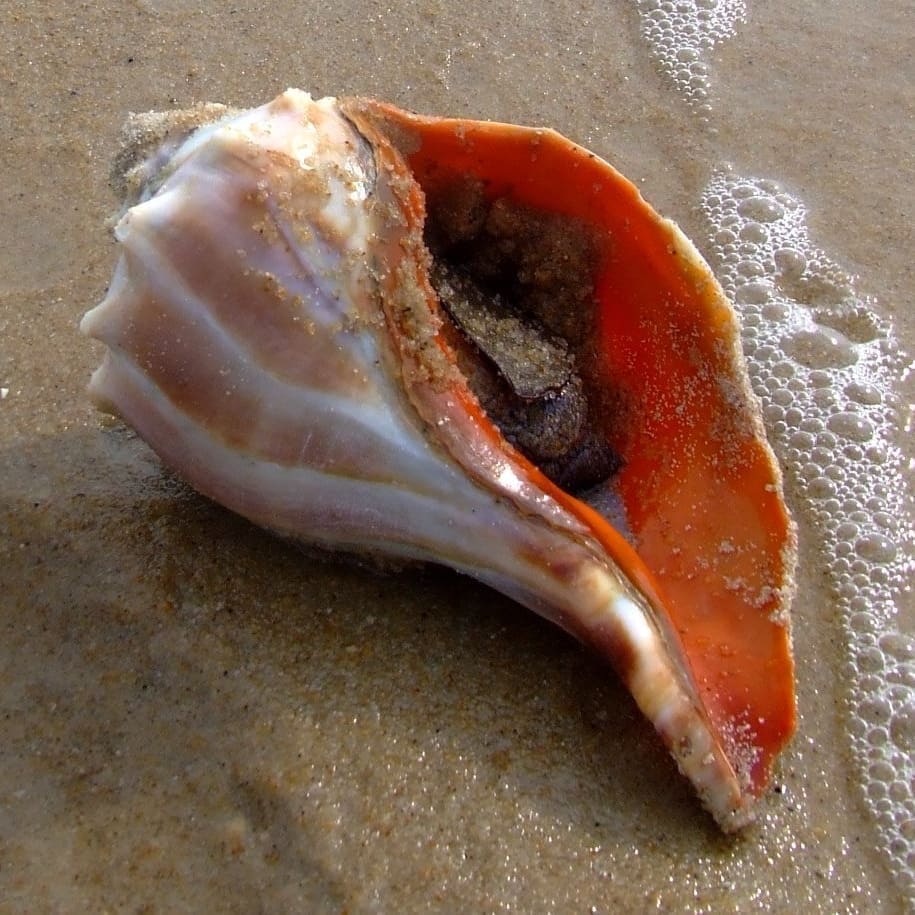 Photo gallery photo 7 — Ocean City, Maryland
