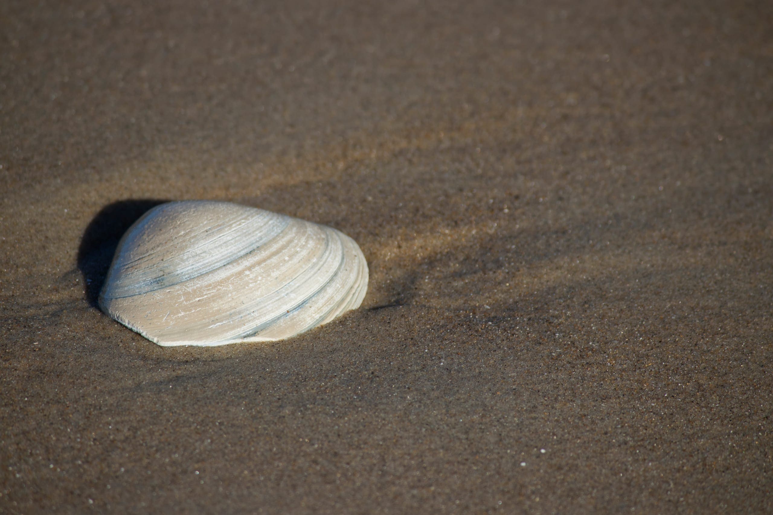 Photo gallery photo 9 — Ocean City, Maryland