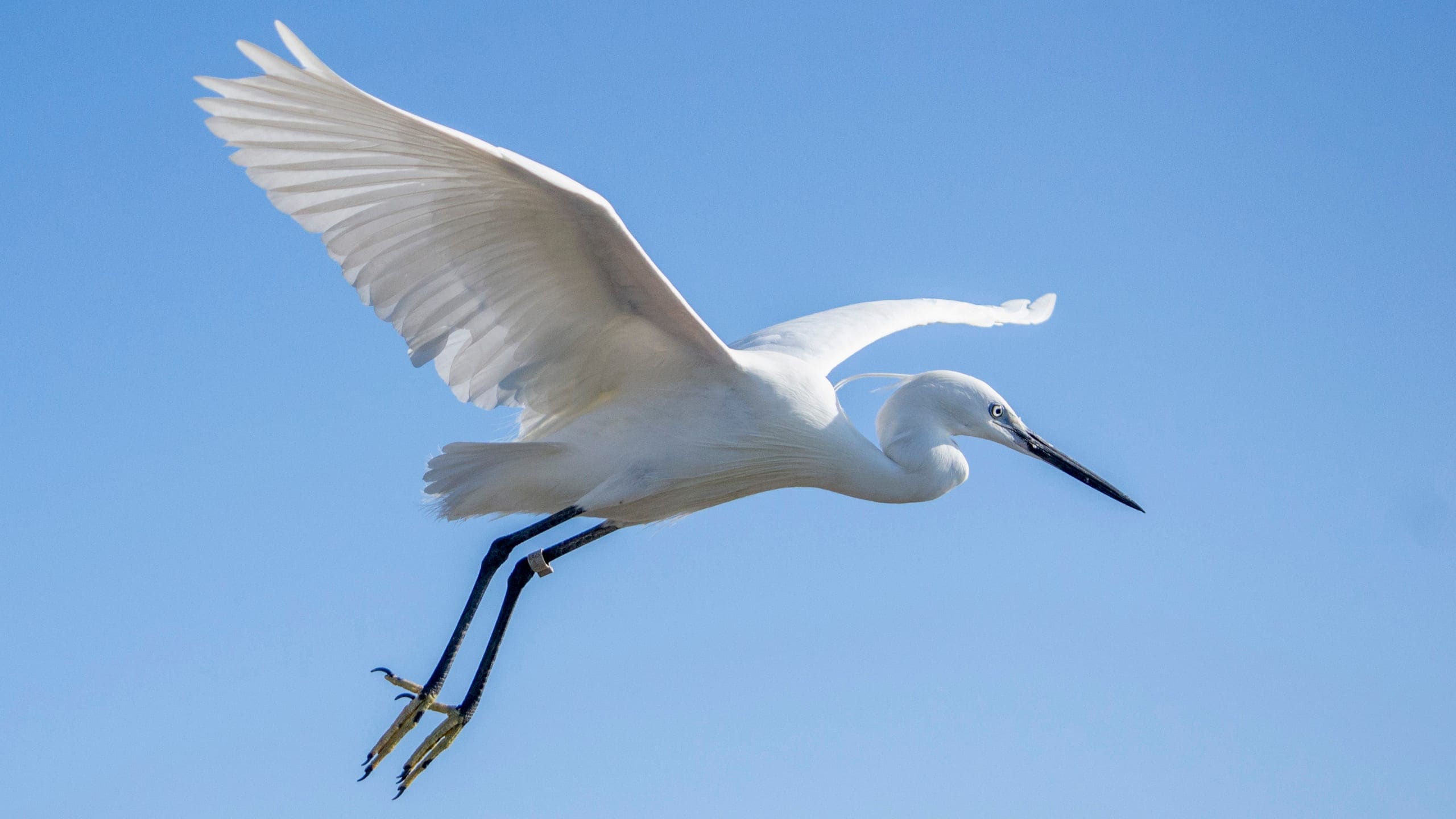 Photo gallery photo 9 — Ocean City, Maryland