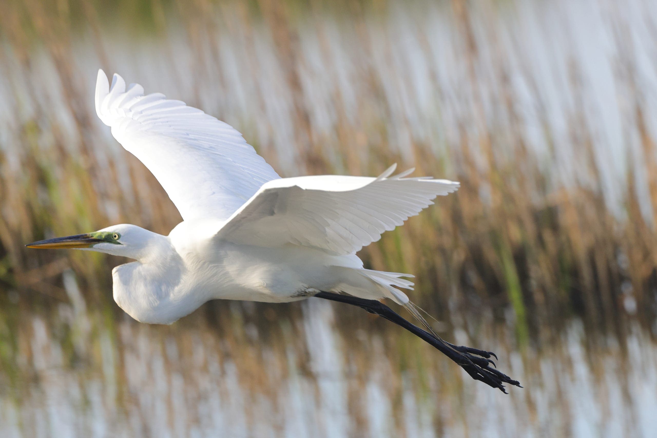 Photo gallery photo 1 — Ocean City, Maryland