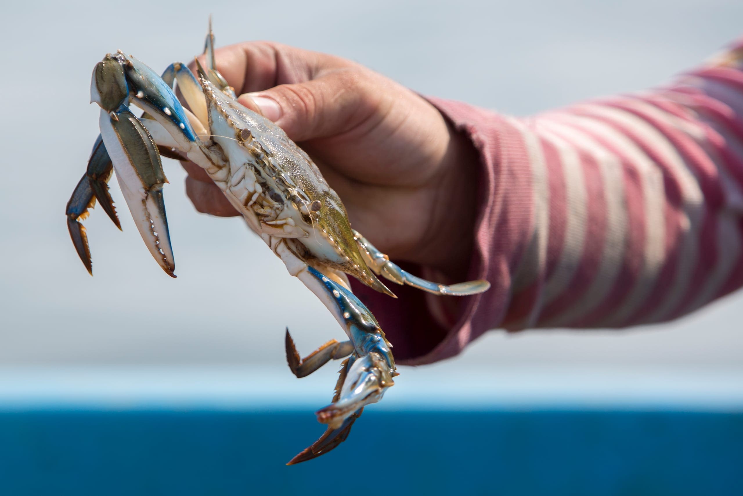 Photo gallery photo 5 — Ocean City, Maryland