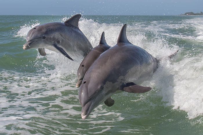 Photo gallery photo 6 — Ocean City, Maryland
