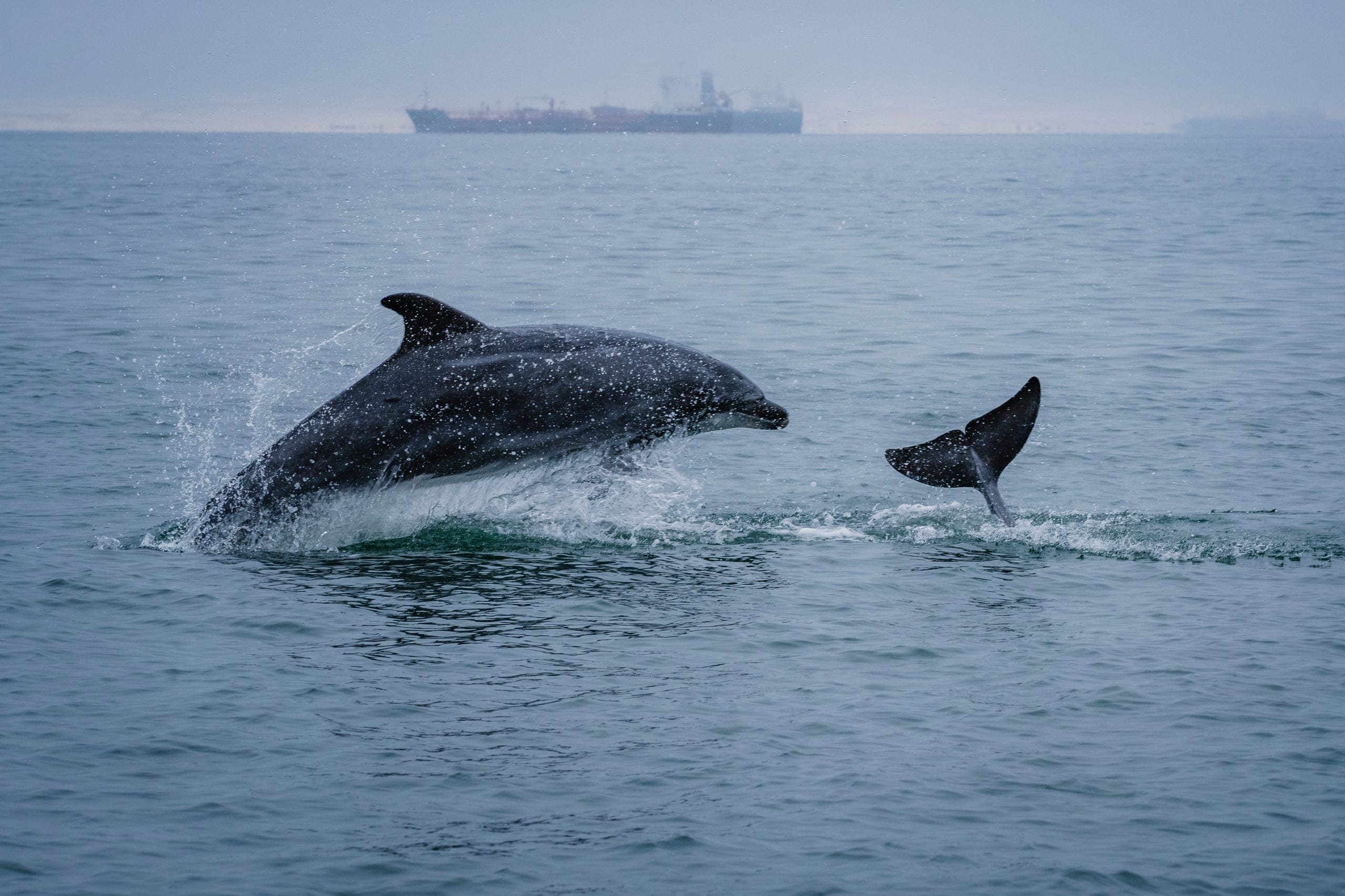Photo gallery photo 5 — Ocean City, Maryland