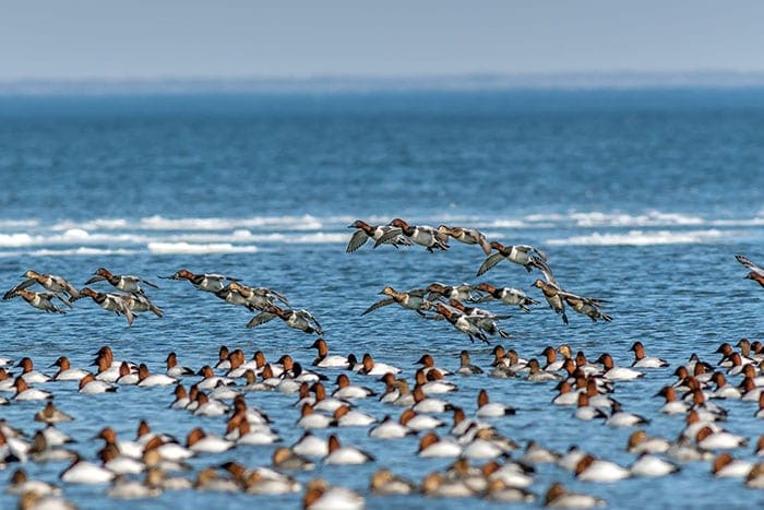 Photo gallery photo 8 — Ocean City, Maryland
