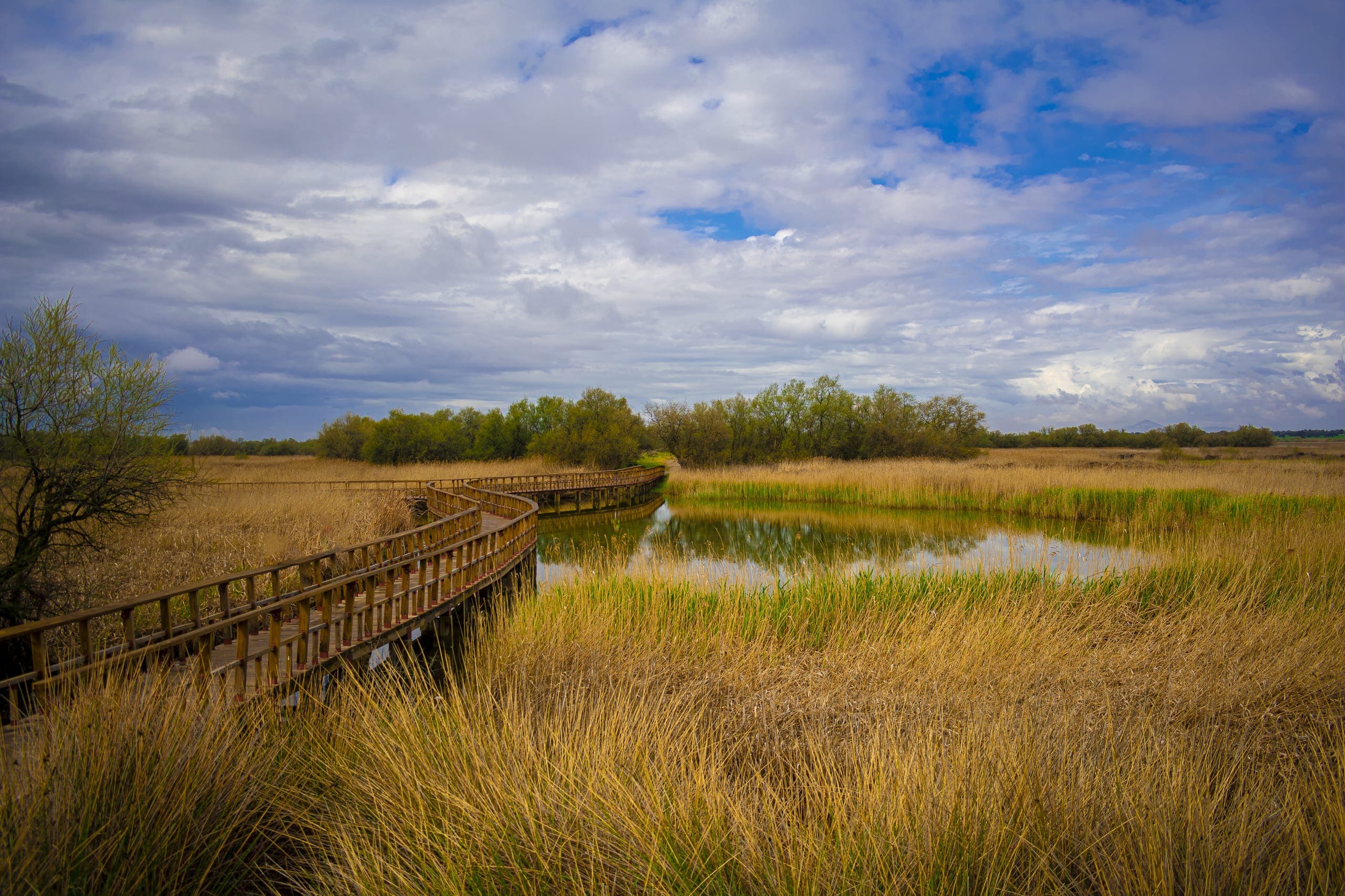 Photo gallery photo 9 — Ocean City, Maryland