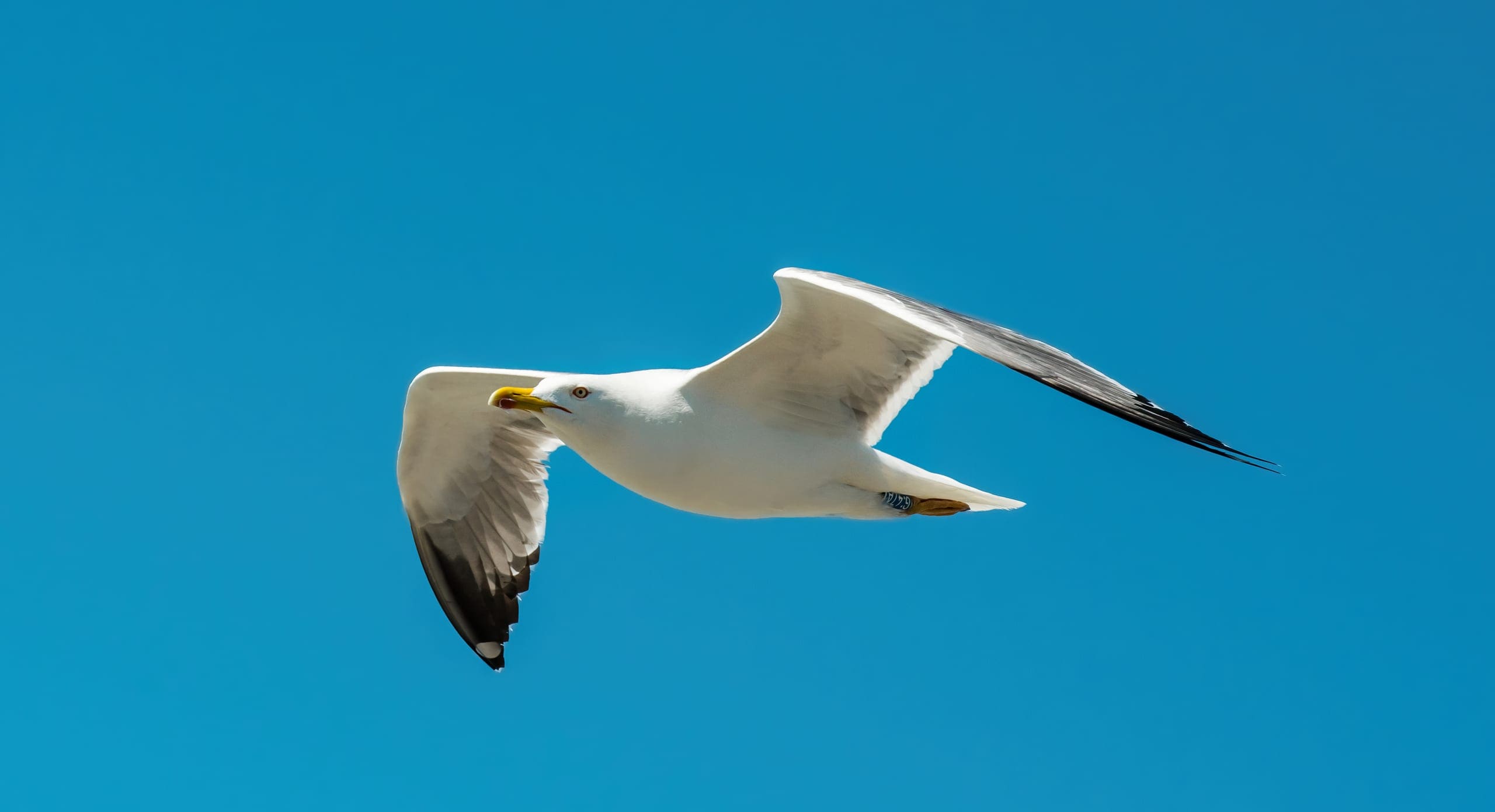 Photo gallery photo 6 — Ocean City, Maryland