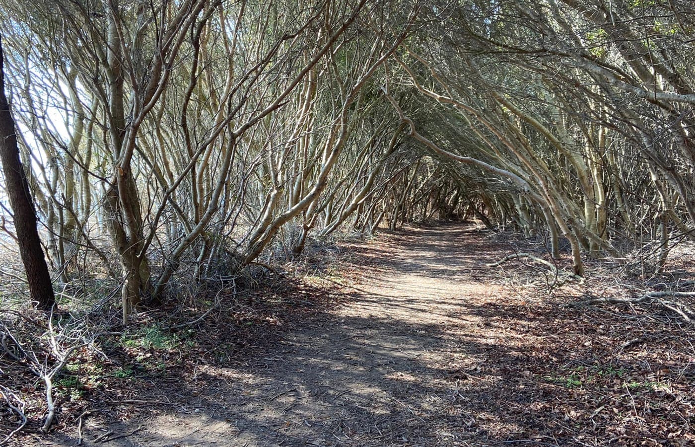 Hiking — Ocean City, Maryland