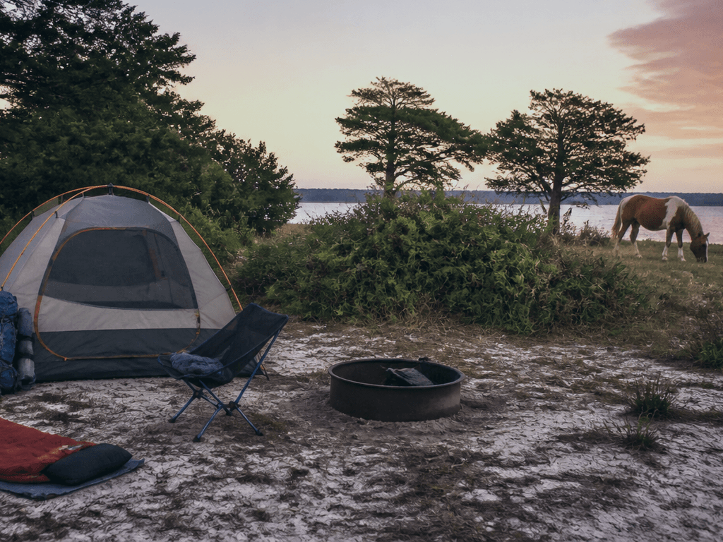 Assateague camp reservation timing reality: systems thinking before you fall in love with a site — supporting Beach Blog photo, Ocean City, Maryland
