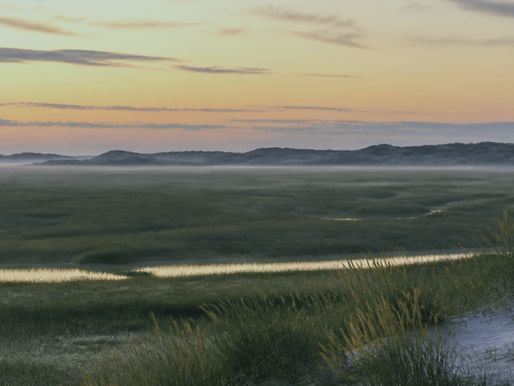 Assateague dawn quiet: ponies optional, wonder required — supporting Beach Blog photo, Ocean City, Maryland