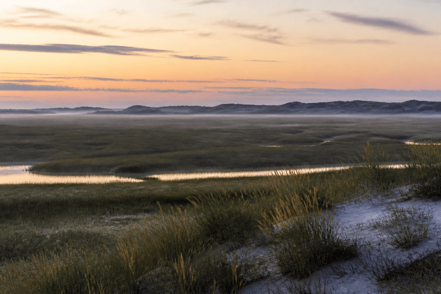 Assateague dawn quiet near Ocean City: soft morning light over marsh and dune edge — Beach Blog photo, Ocean City, Maryland