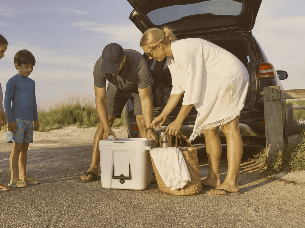 assateague day trip cooler plan — supporting Beach Blog photo, Ocean City, Maryland