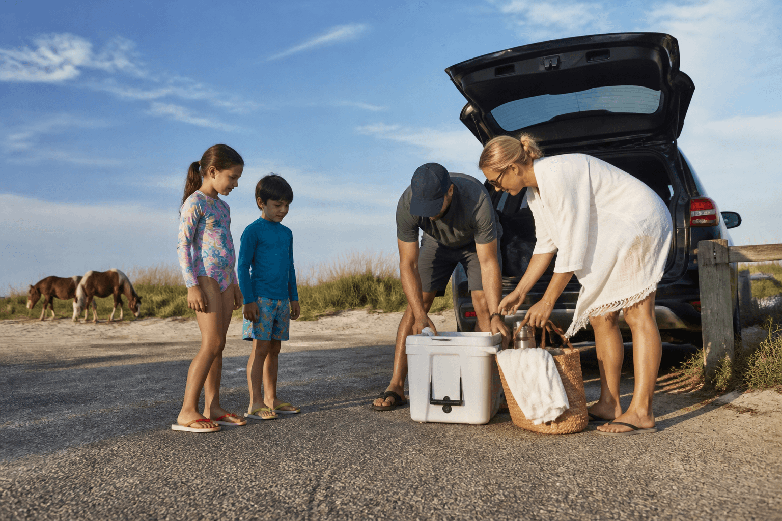 Assateague day-trip cooler plan for a no-drama beach day — Beach Blog photo, Ocean City, Maryland