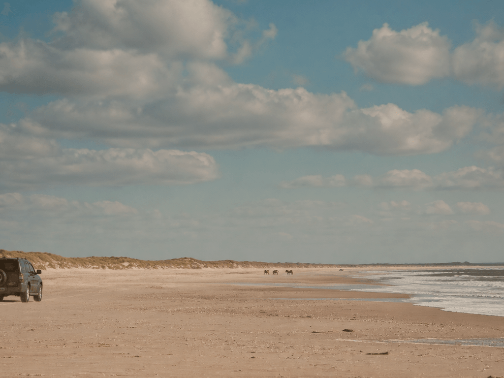 Assateague over-sand vehicle curiosity: permits, skills, and why watching is valid — supporting Beach Blog photo, Ocean City, Maryland