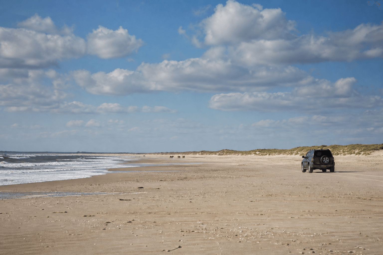 Assateague over-sand vehicle curiosity: permits, skills, and why watching is valid — Beach Blog photo, Ocean City, Maryland