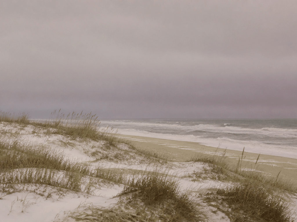 Assateague in winter: solitude, wildlife, and the honest cold — supporting Beach Blog photo, Ocean City, Maryland