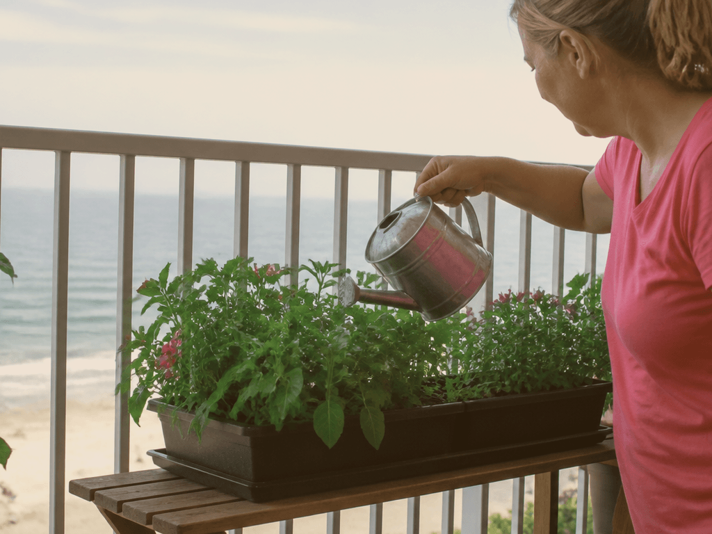 Balcony plant watering: don't drip the neighbors — supporting Beach Blog photo, Ocean City, Maryland
