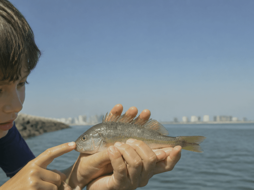 Bay fish ID for curious kids: names, shapes, and catch-and-learn energy — supporting Beach Blog photo, Ocean City, Maryland