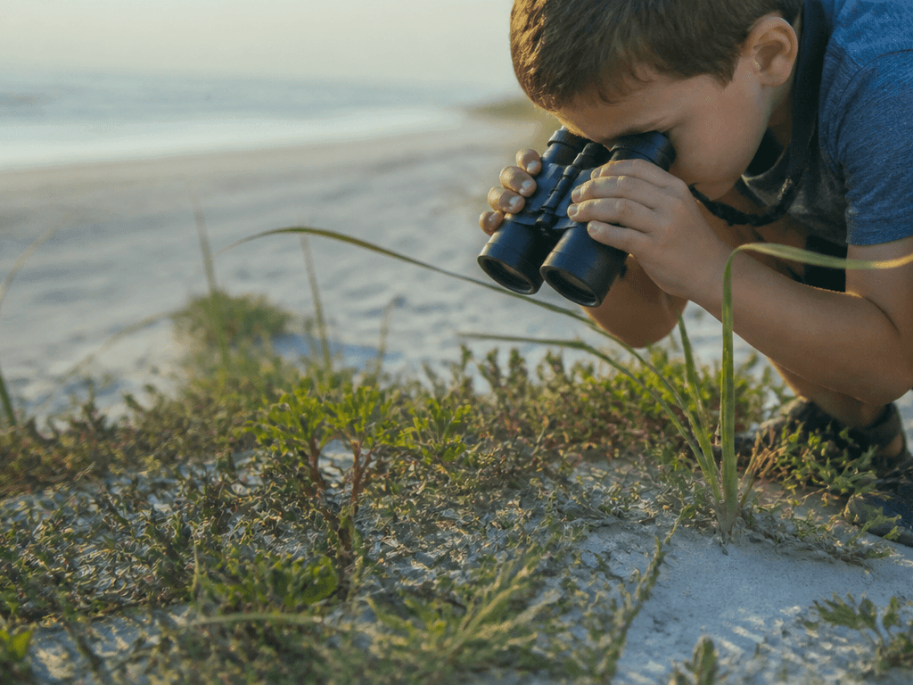 Beach bugs and binoculars: a kid nature hour that is not gross—okay, a little gross — supporting Beach Blog photo, Ocean City, Maryland