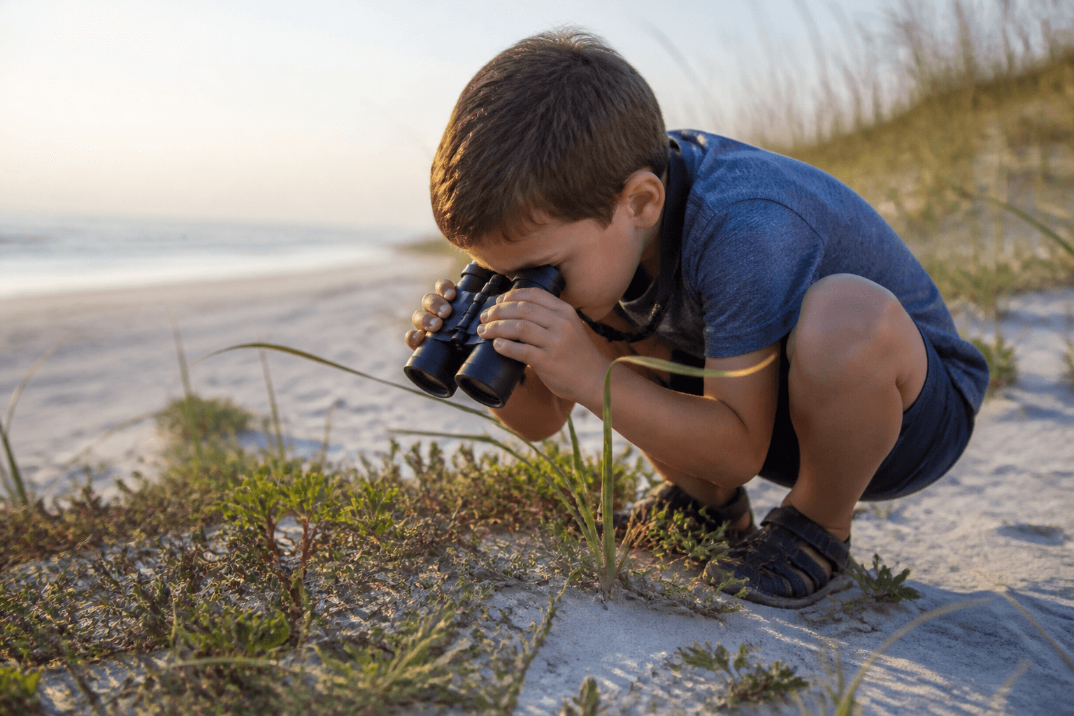 Beach bugs and binoculars: a kid nature hour that is not gross—okay, a little gross — Beach Blog photo, Ocean City, Maryland
