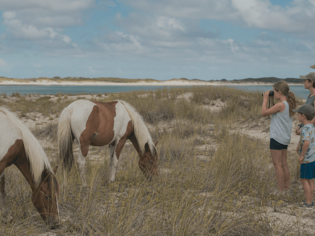 When the Boardwalk is too loud: Berlin and Assateague day-trip rhythm — supporting Beach Blog photo, Ocean City, Maryland
