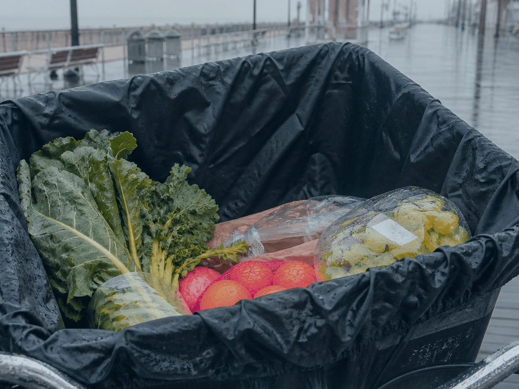 Bike basket liner for sudden Ocean City rain — supporting Beach Blog photo, Ocean City, Maryland