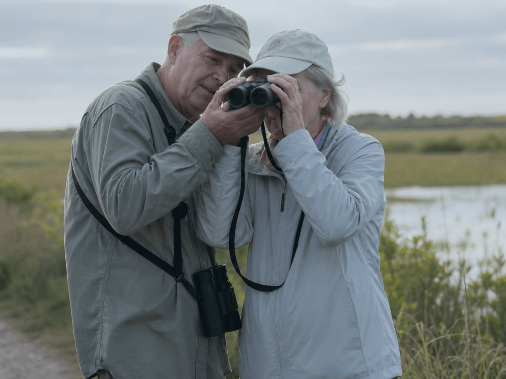 Binocular rental for birding hour: borrow glass, keep the neck happy — supporting Beach Blog photo, Ocean City, Maryland