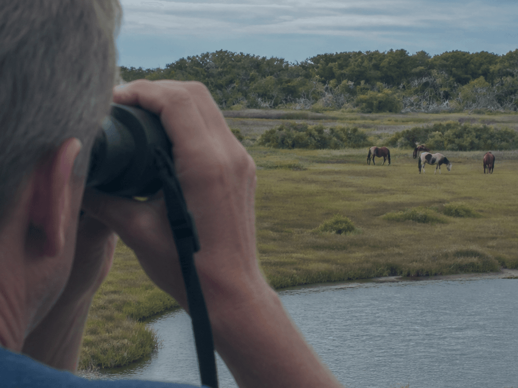 Binocular strap for pony distance: look closer without stepping closer — supporting Beach Blog photo, Ocean City, Maryland