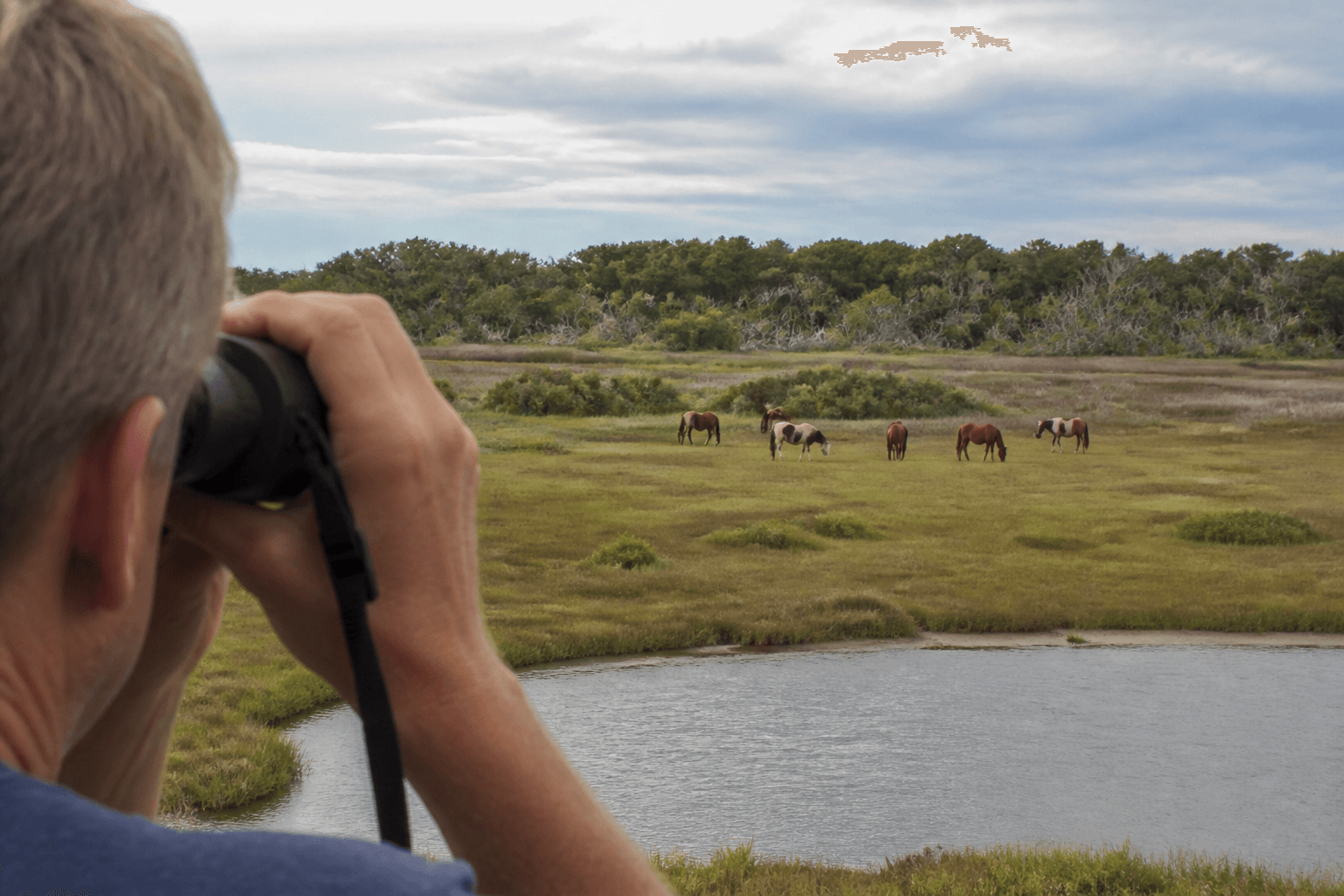 Binocular strap for pony distance: look closer without stepping closer — Beach Blog photo, Ocean City, Maryland